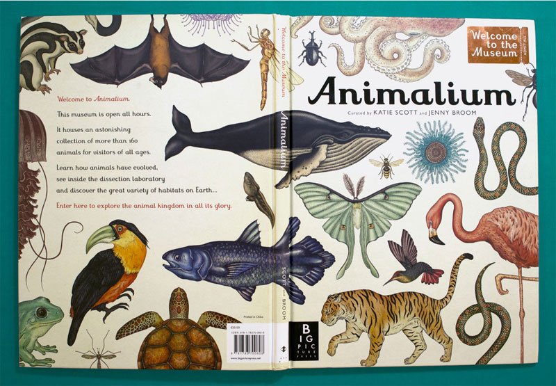 Animalium - The Animal Museum Inside A Beautiful Book | MoMa UK